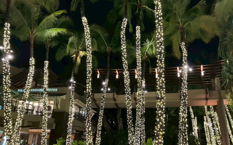 夜のハワイでイルミネーションに照らされたヤシの木。大切な人と過ごした穏やかな時間の風景。