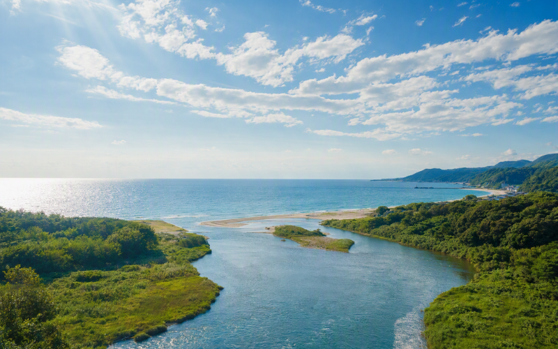 緑に囲まれた川の先に、青い海と雲の浮かぶ空が広がる風景